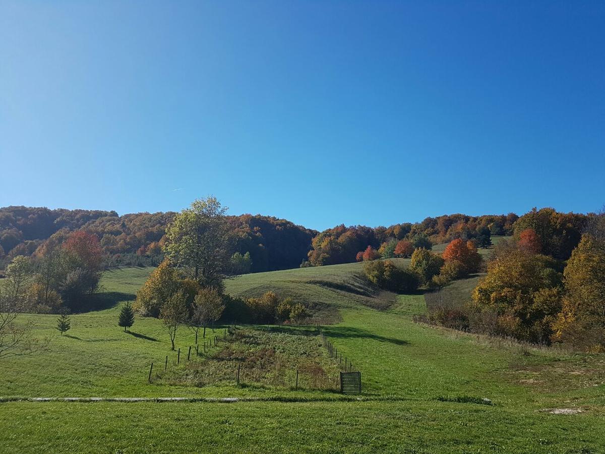 Villa Lika 1 Plitvička Jezera Kültér fotó